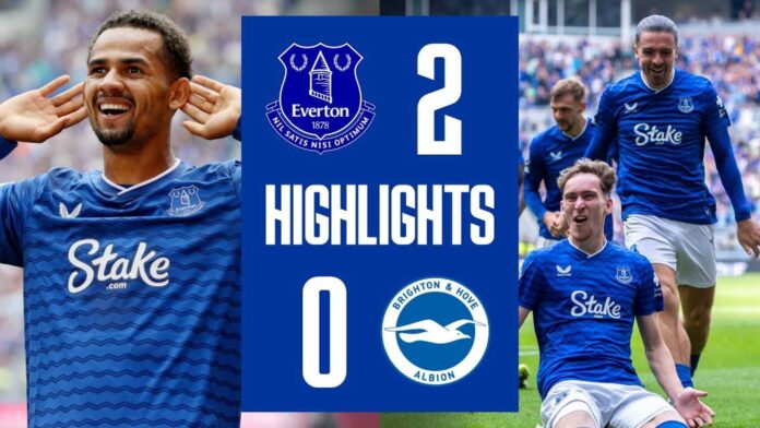 Everton Vs Brighton Match Highlights
