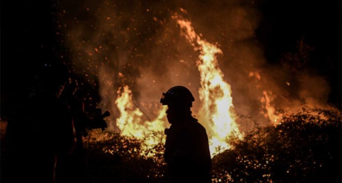 Firefighters Battling Forest Fire In Poland