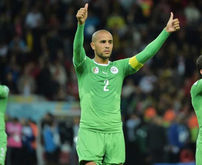 Madjid Bougherra Coaching Algeria