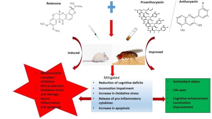 Parkinson's Disease And Metabolic Syndrome