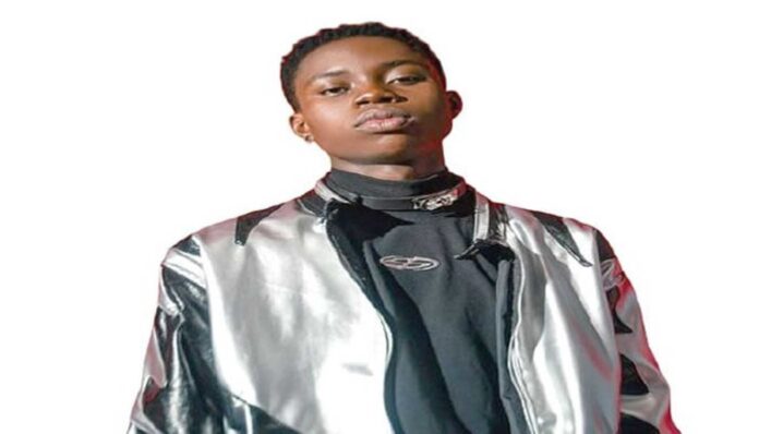 Peller Lagos Tax Issue Tiktok