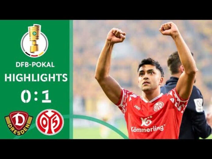 Armindo Sieb Mainz 05 Against Bvb