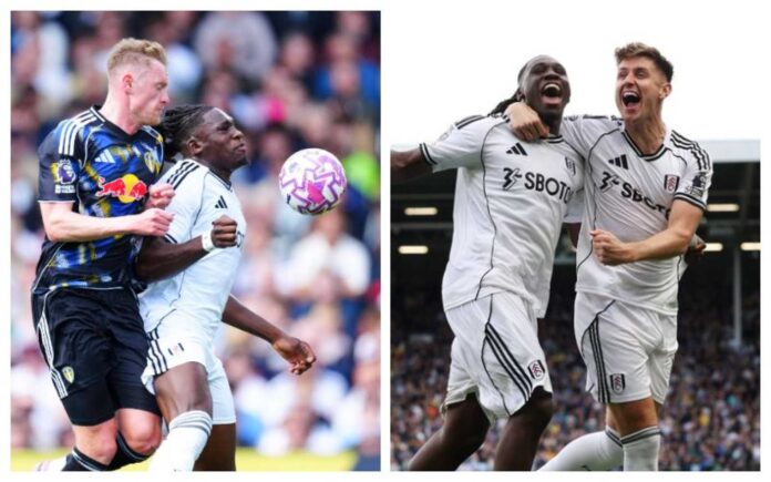 Gabriel Gudmundsson Own Goal Fulham Leeds