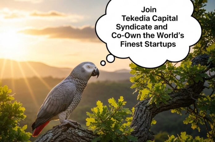 Germany Elections 2025 Context