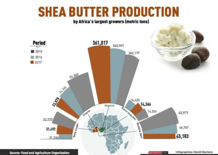 Nigerian Shea Nuts And Shea Butter Processing