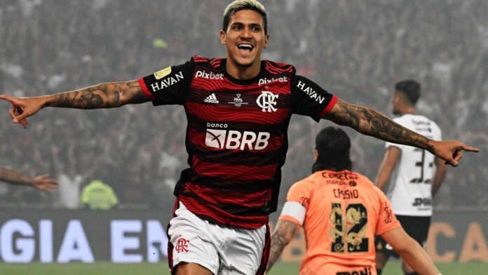 Pedro Flamengo Soccer Celebration