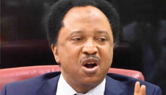 Shehu Sani Social Media Regulation Nigeria