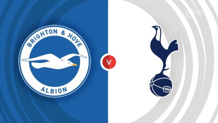 Tottenham And Brighton Match Preview
