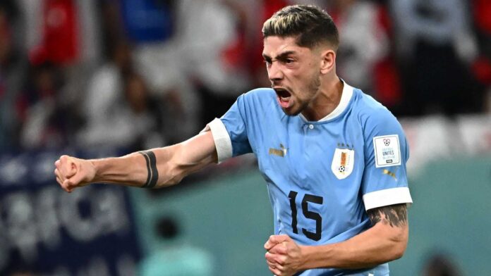 Uruguay Team Marcelo Bielsa Match Preparation