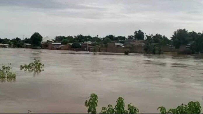Zaria Flood Victims And Recovery Efforts