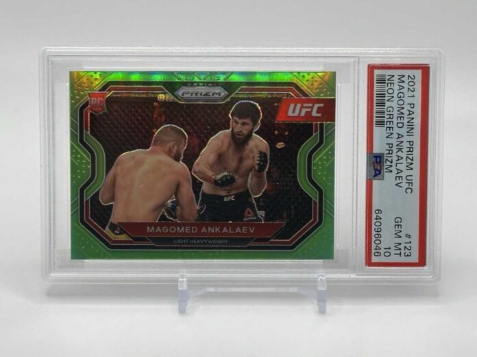 Ankalaev Vs Pereira Ufc 320 Fight Night