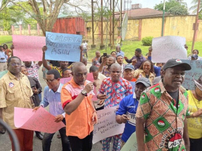 Asuu Union Members On Strike