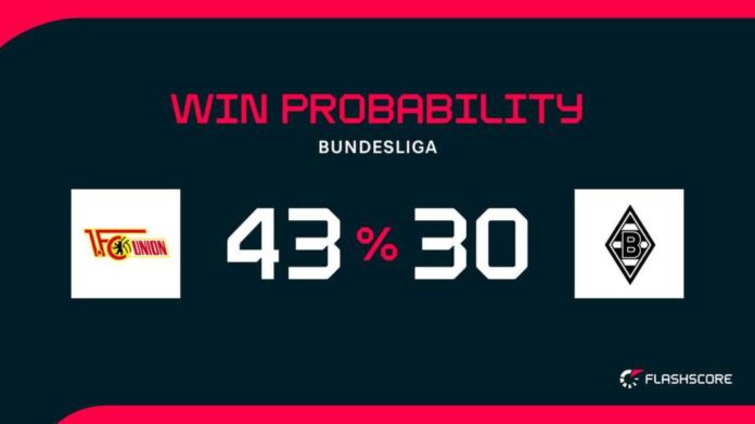 Eugen Polanski Borussia Gladbach