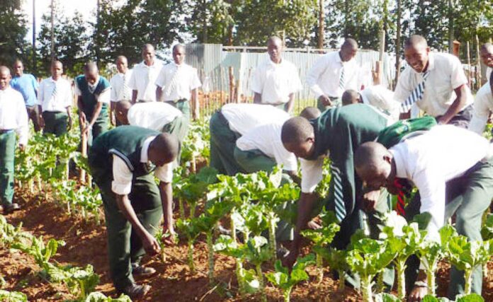 Kitchen Gardening Demonstration