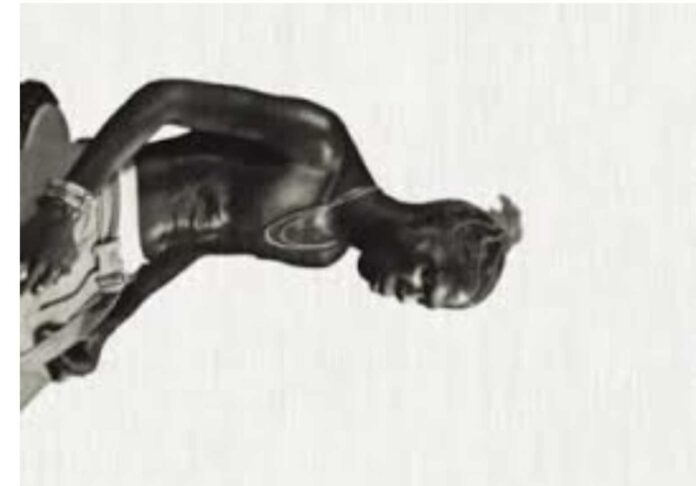 Seyi Vibez Album Cover Fuji Moto Release