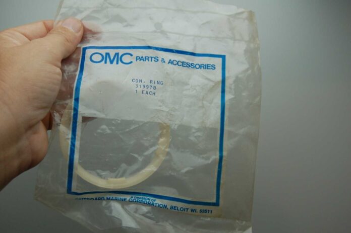 Snap Benefits In Florida With Grocery Bag