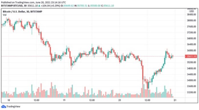 Bitcoin Price Drop Chart Analysis