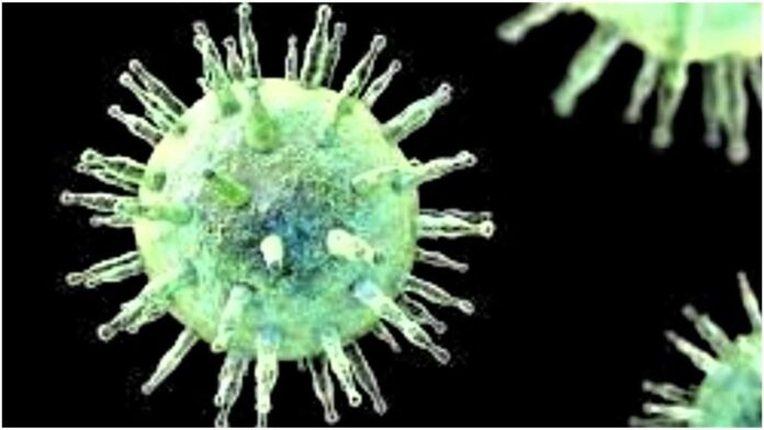 Epstein Barr Virus And Immune Cells