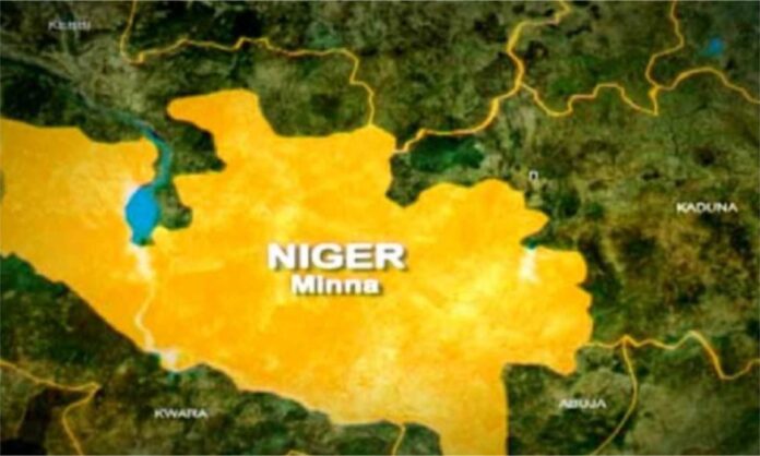 Niger State Vigilantes Attacks November 2025