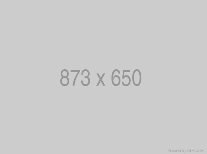 Wesley Meno And Brooks The Service Dog