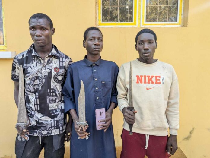 Kano Police Arrests 2025