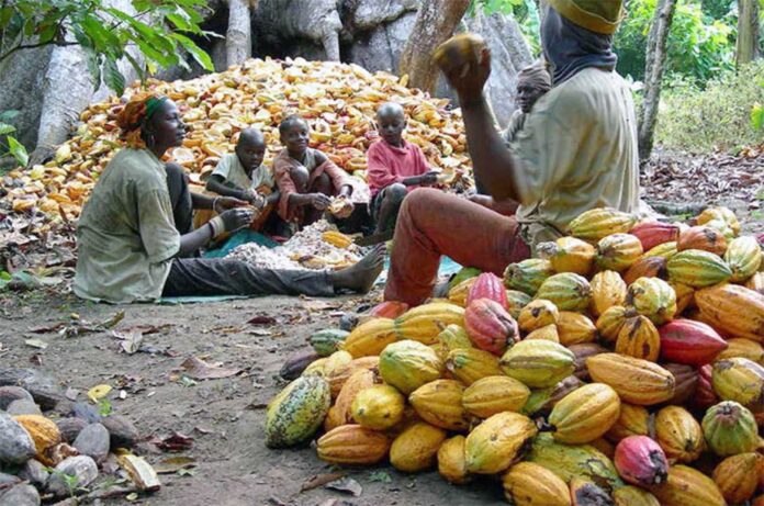 Nigerian Food Market