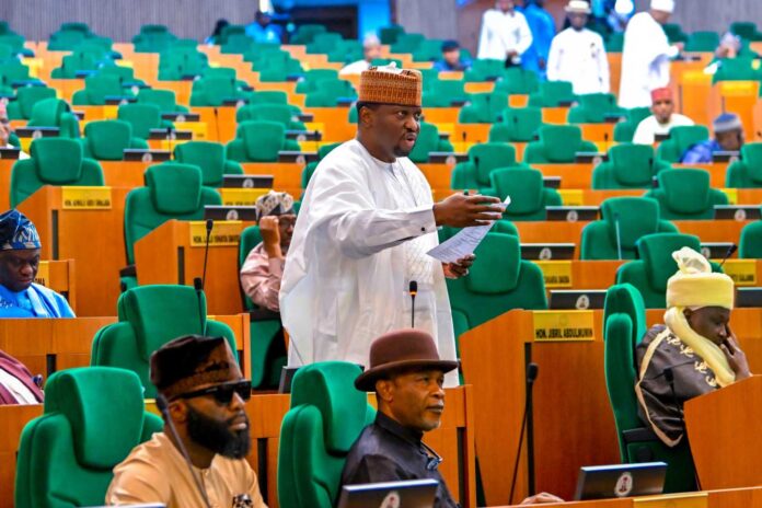 Nigerian Politics Tax Laws