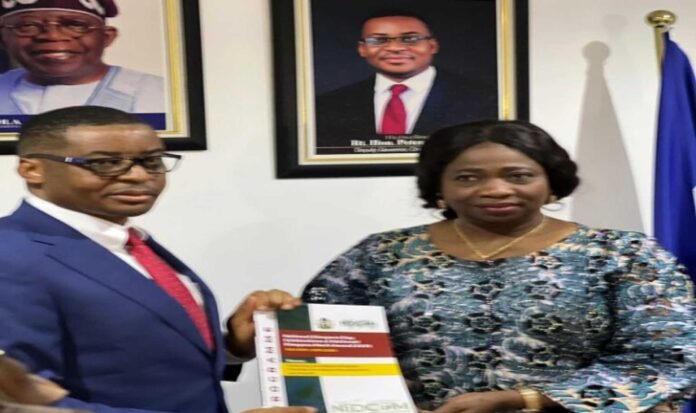 Nigerians In Diaspora Commission Meeting