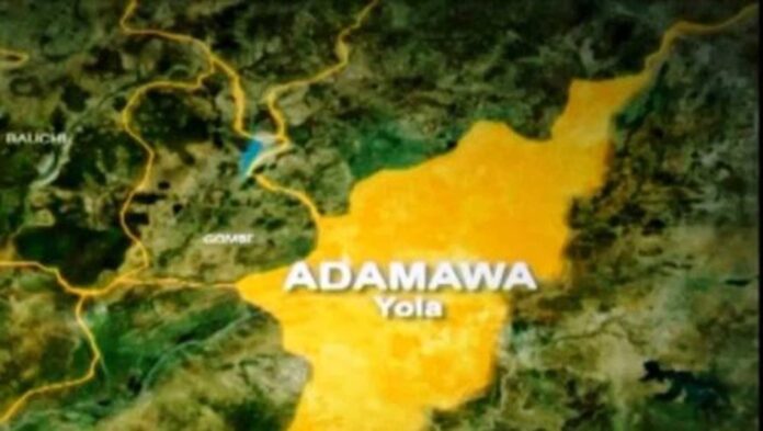 Adamawa Police Crackdown On Reckless Driving