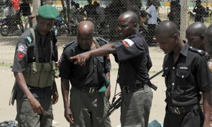 Adamawa State Police Arrested Armed Robbers