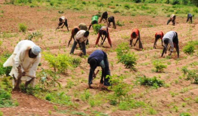 Biochemists Warning Farmers Chemicals