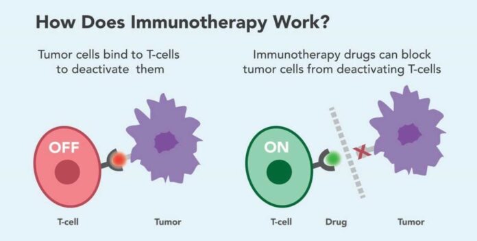 Blood Cancer Research Immunotherapy