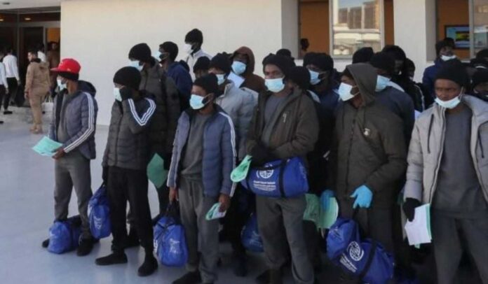 Canada Deportation Nigeria Citizens