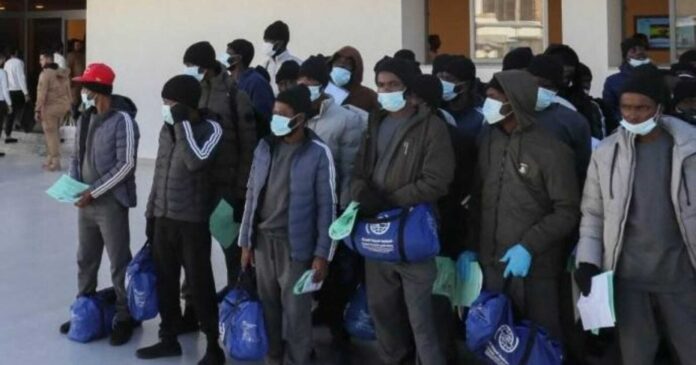 Canada Immigration Deportation Statistics