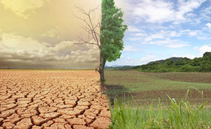 Climate Change Farming In Nigeria
