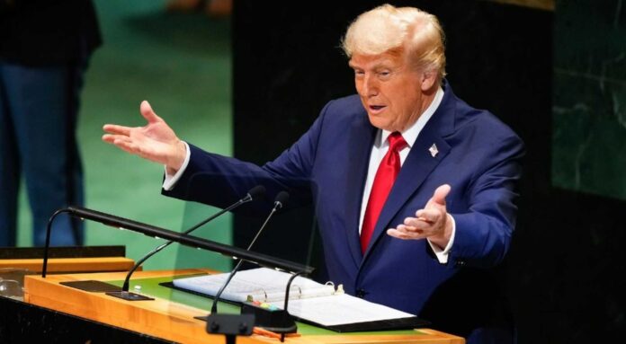 Donald Trump Gaza Peace Board