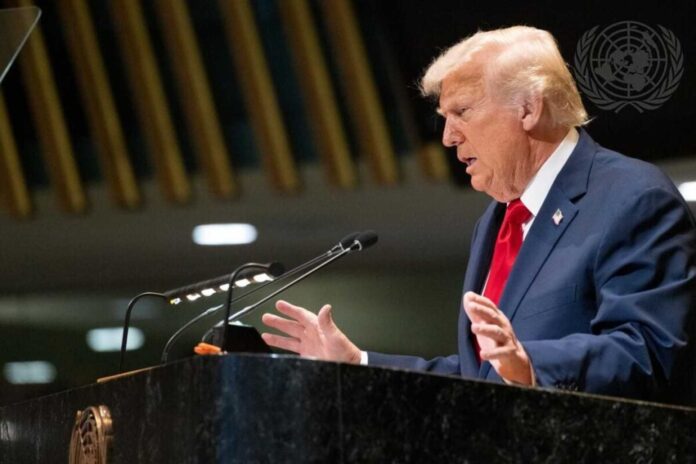 Donald Trump Greenland Conflict