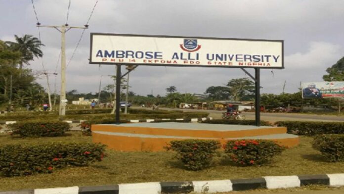 Edo State Government, Ambrose Alli University