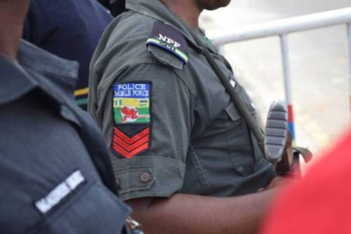 Gombe State Police Arrest Housebreaker