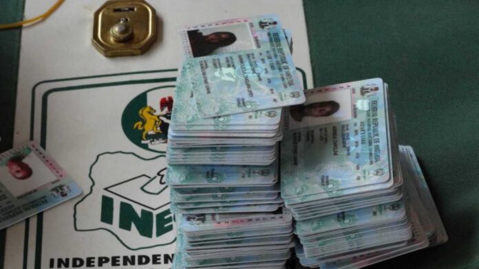 Inec Pvc Collection