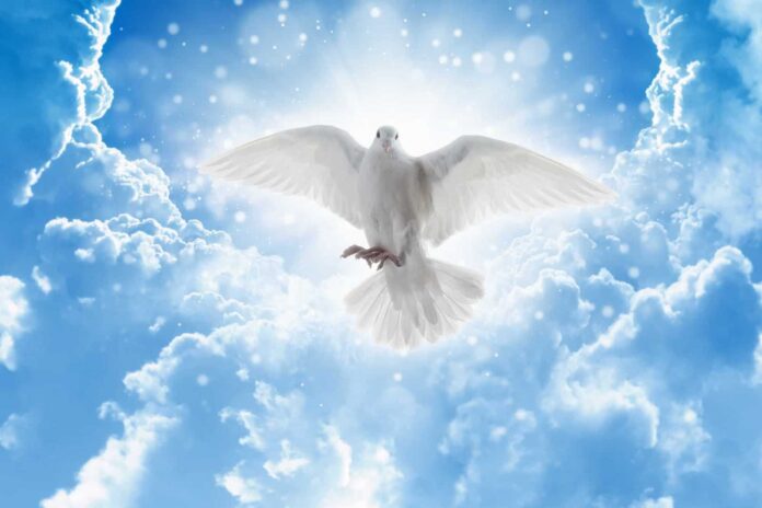 Jesus Baptism Holy Spirit Dove