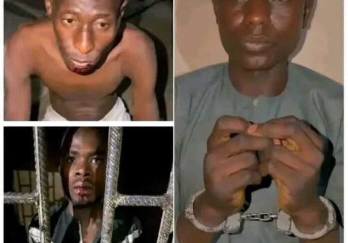 Kano Murder Case Suspect Arrest