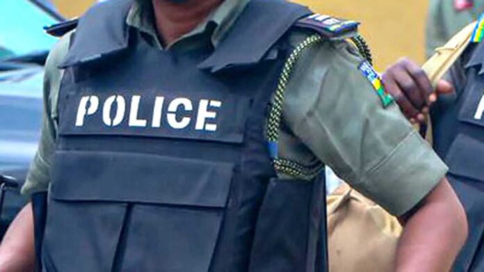 Kano Police Arrest Mother Son Pistol