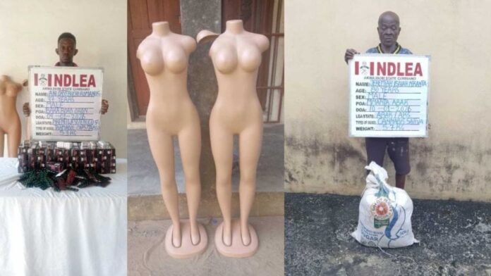 Mannequins, Tramadol, Drug Trafficking
