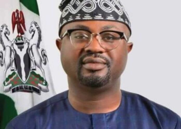 Minister Of Interior, Dr Olubunmi Tunji Ojo