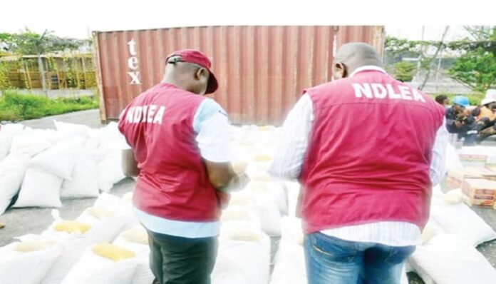 Ndlea Drug Bust Operation