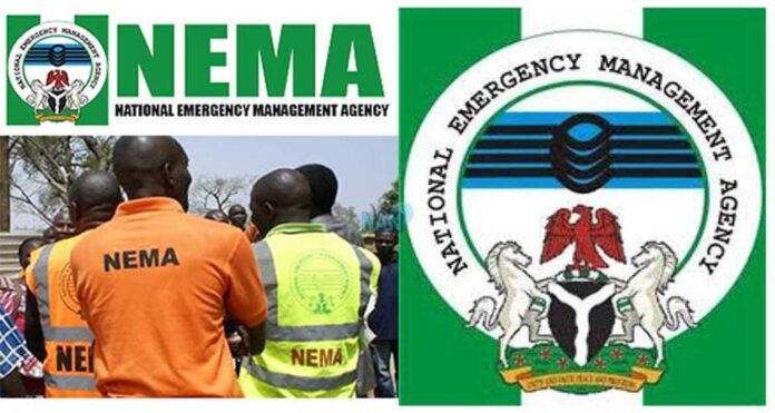 Nema Relief Interventions