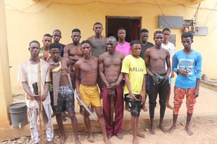 Niger Police Arrest Teen Drug Suspect