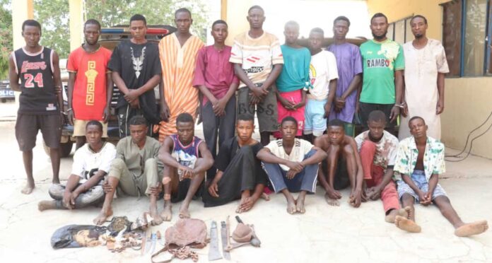 Niger State Police Arrest Drug Suspects