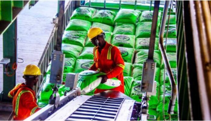 Nigeria Fertilizer Export Urea 2028